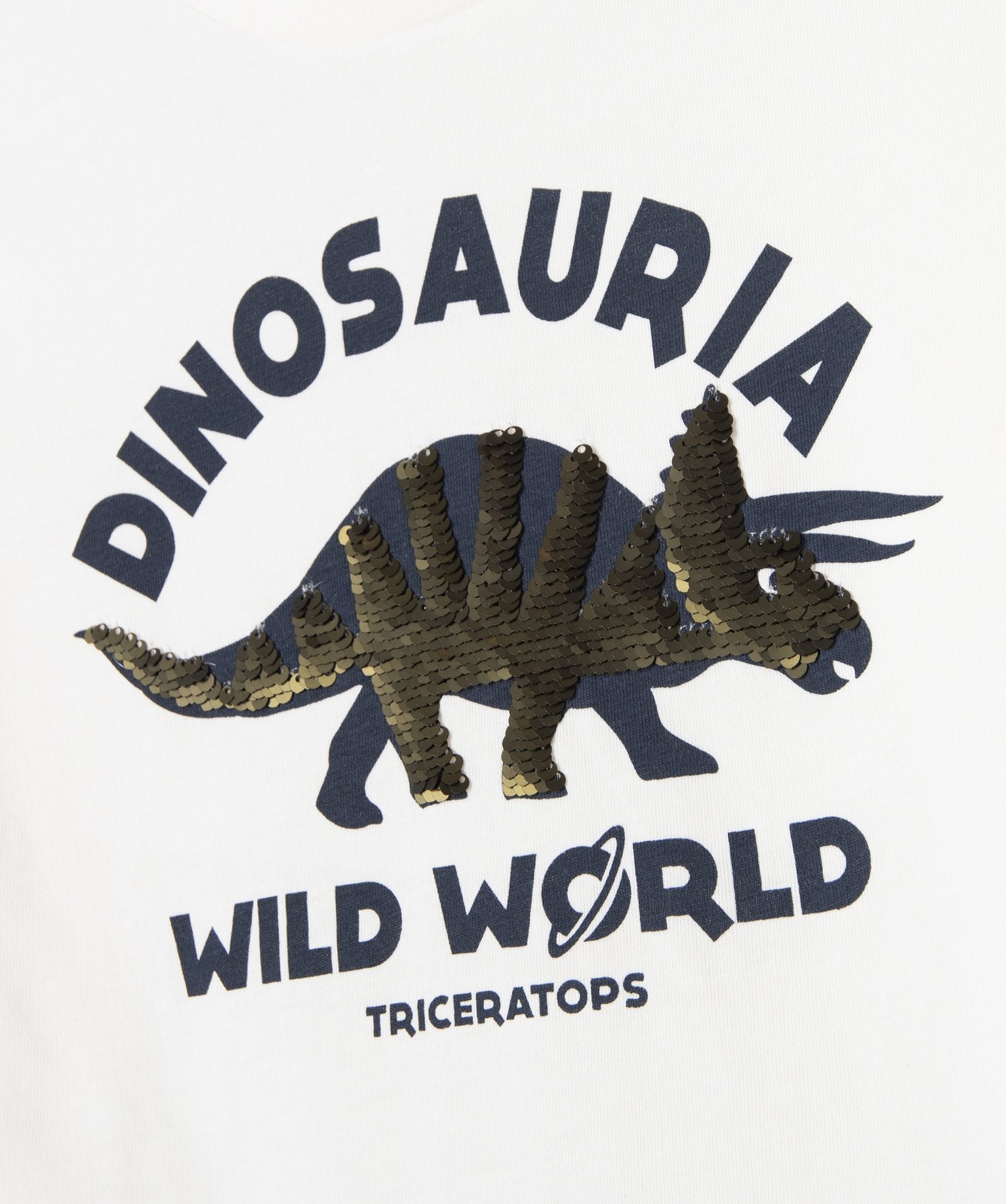 Baby Boys Dinosaur Print Long Sleeve T-Shirt – GÉMO