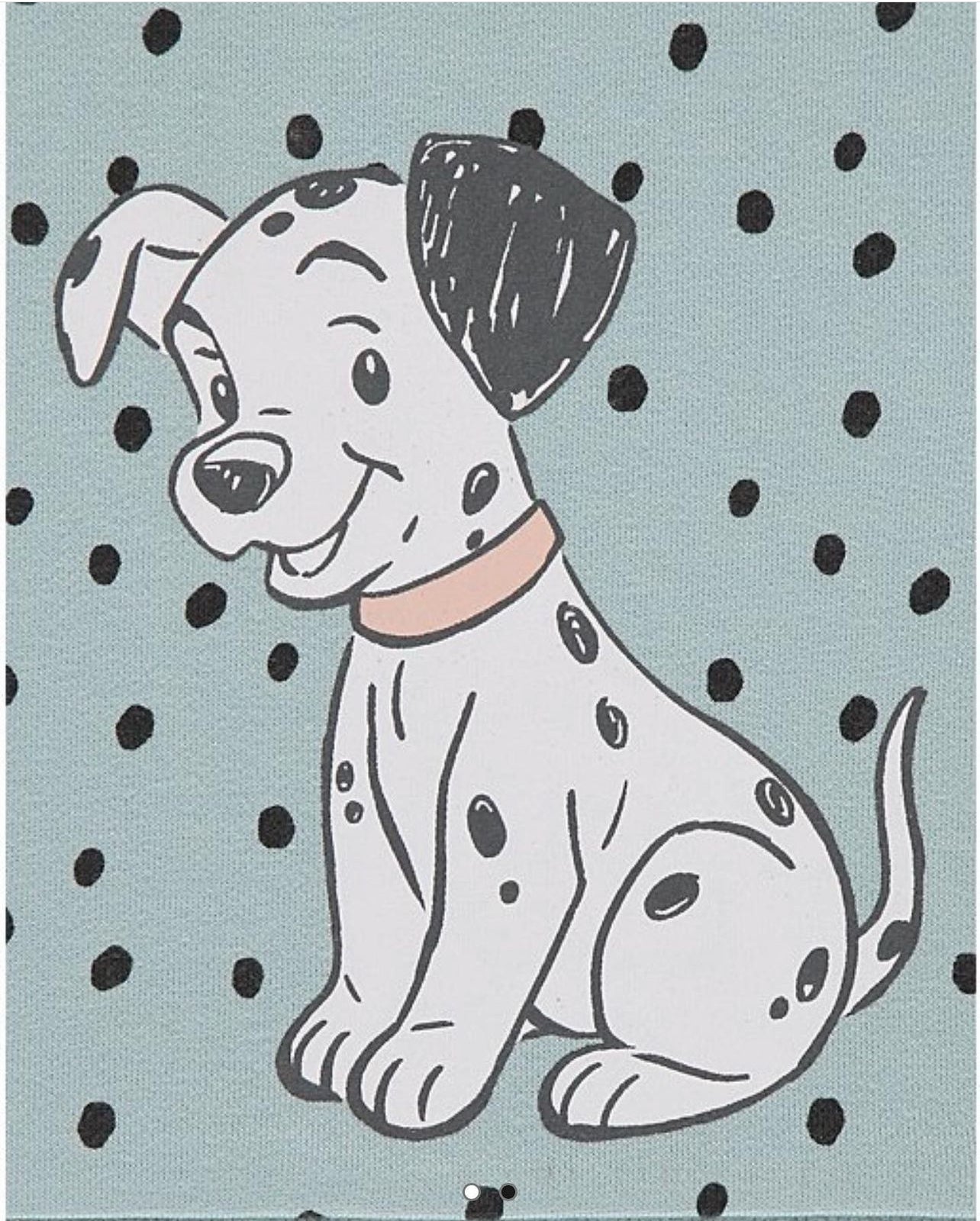 George Disney Dalmatian Sweatshirt – Sage Green
