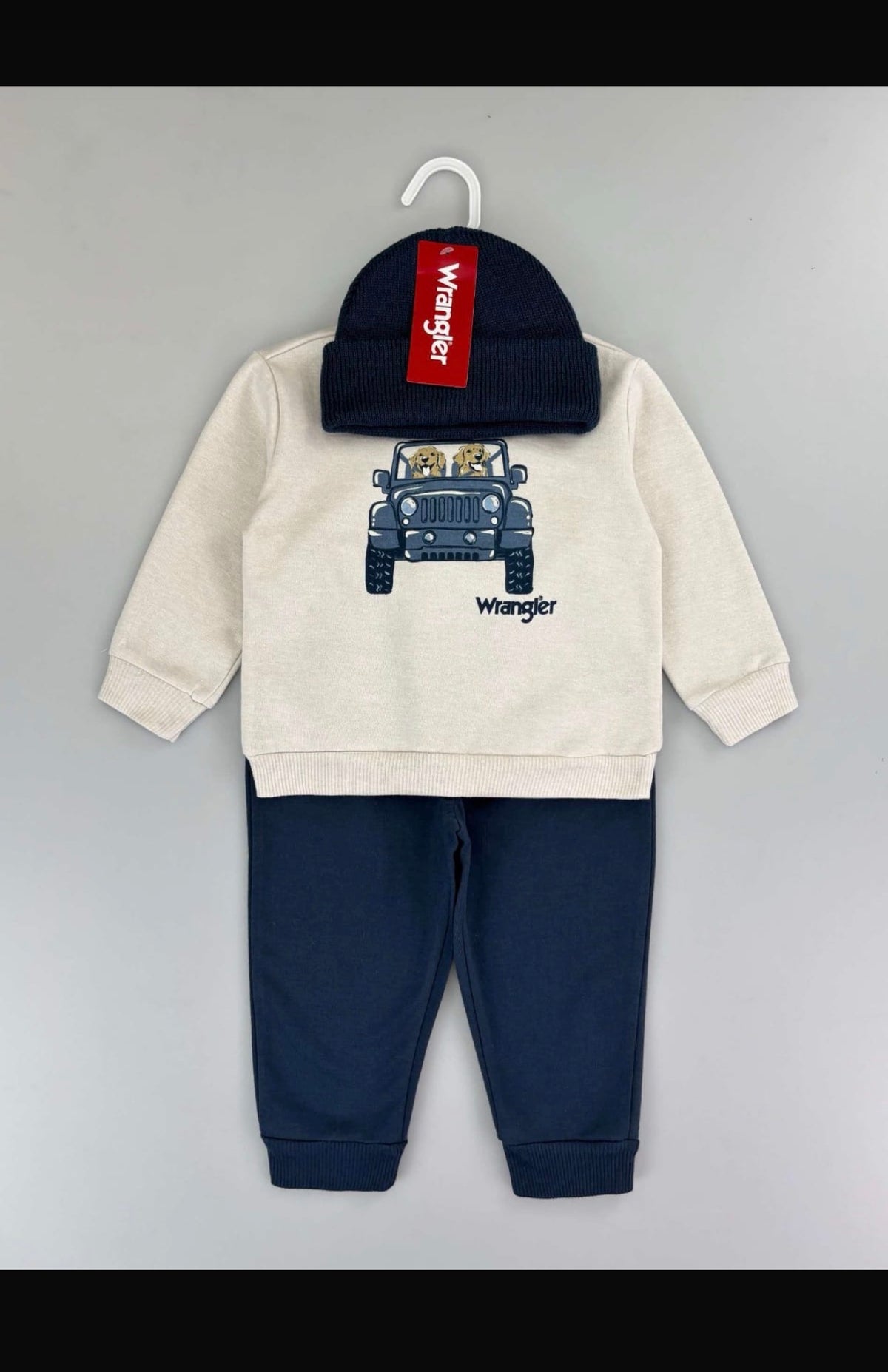 Dog in Car print: cream Wrangler sweatshirt and navy trousers; beanie photographed